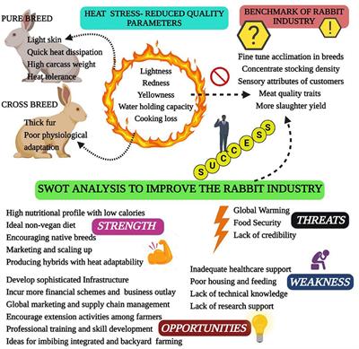 Impacts of Heat Stress on Rabbit Immune Function, Endocrine, Blood Biochemical Changes, Antioxidant Capacity and Production Performance, and the Potential Mitigation Strategies of Nutritional Intervention